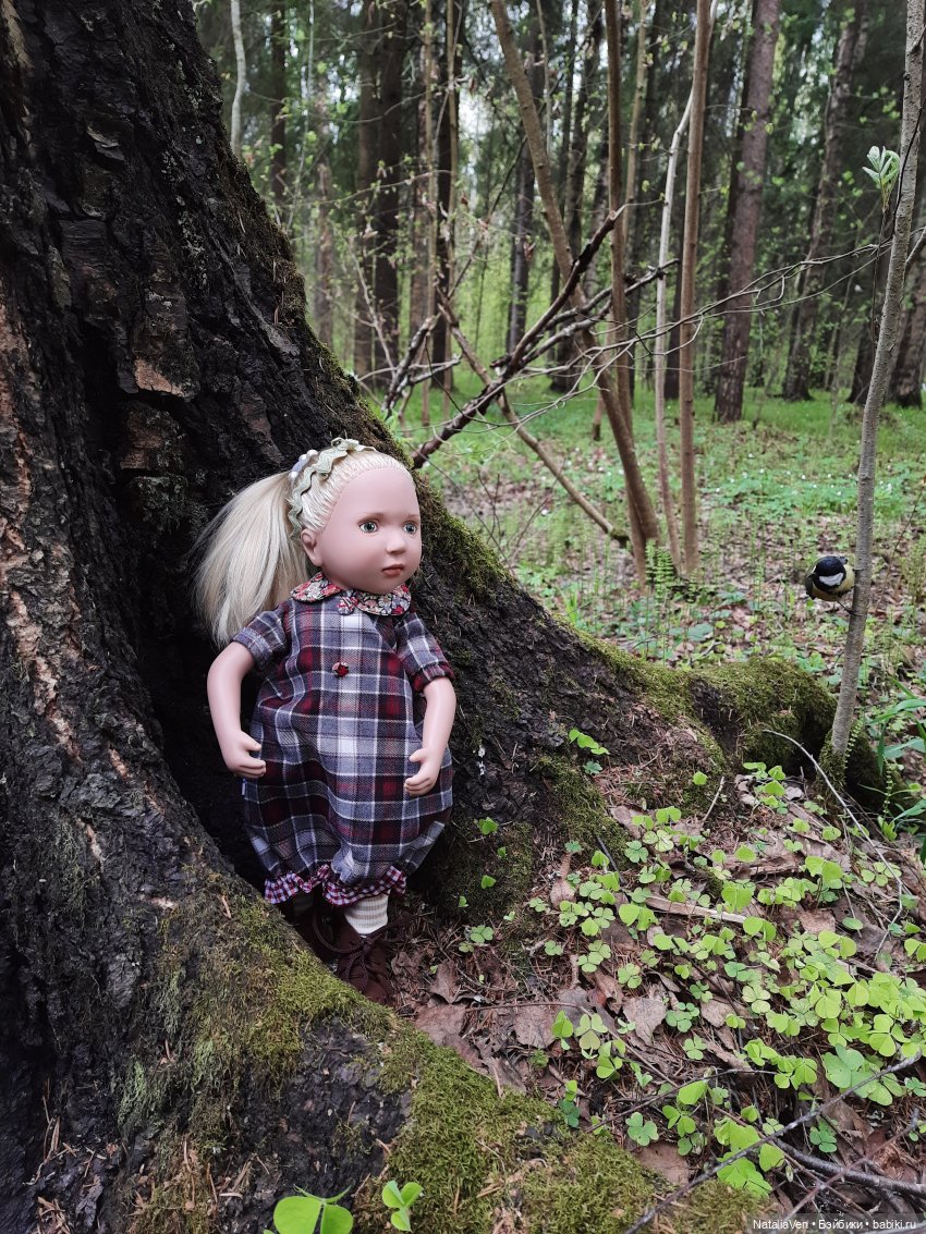 Листая Цверго-календарь: поиск лесных и дворцово-парковых сокровищ во всех временах года