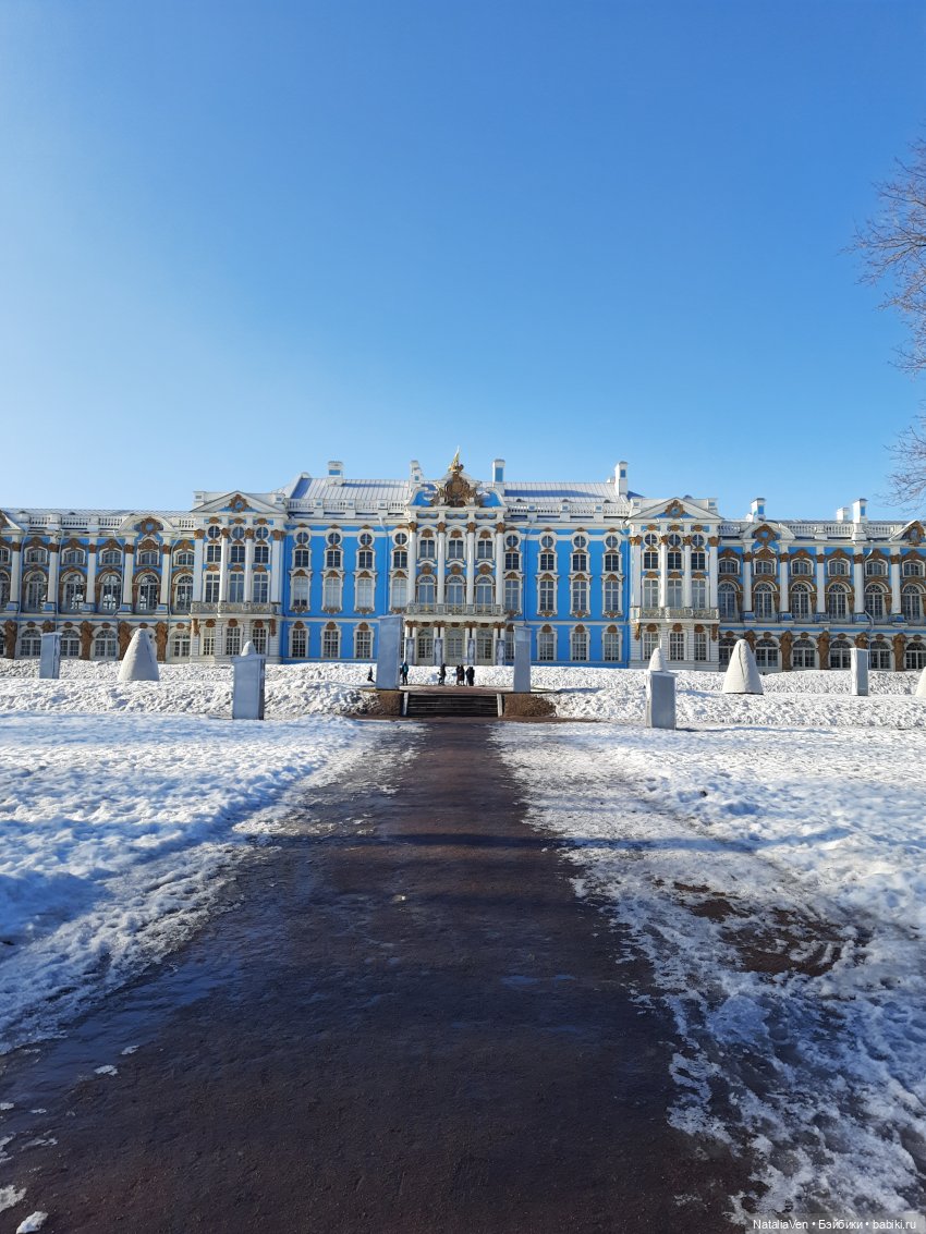 Листая Цверго-календарь: поиск лесных и дворцово-парковых сокровищ во всех временах года