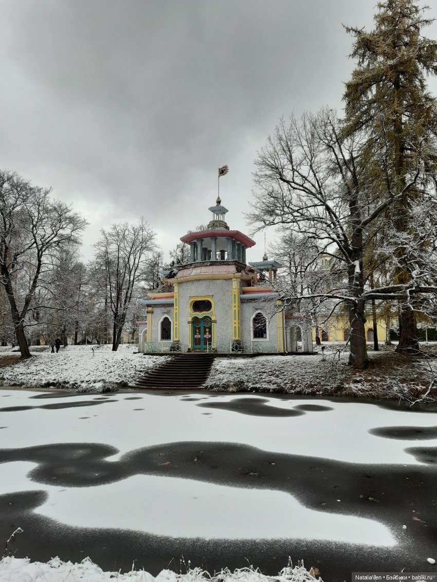 Листая Цверго-календарь: поиск лесных и дворцово-парковых сокровищ во всех временах года