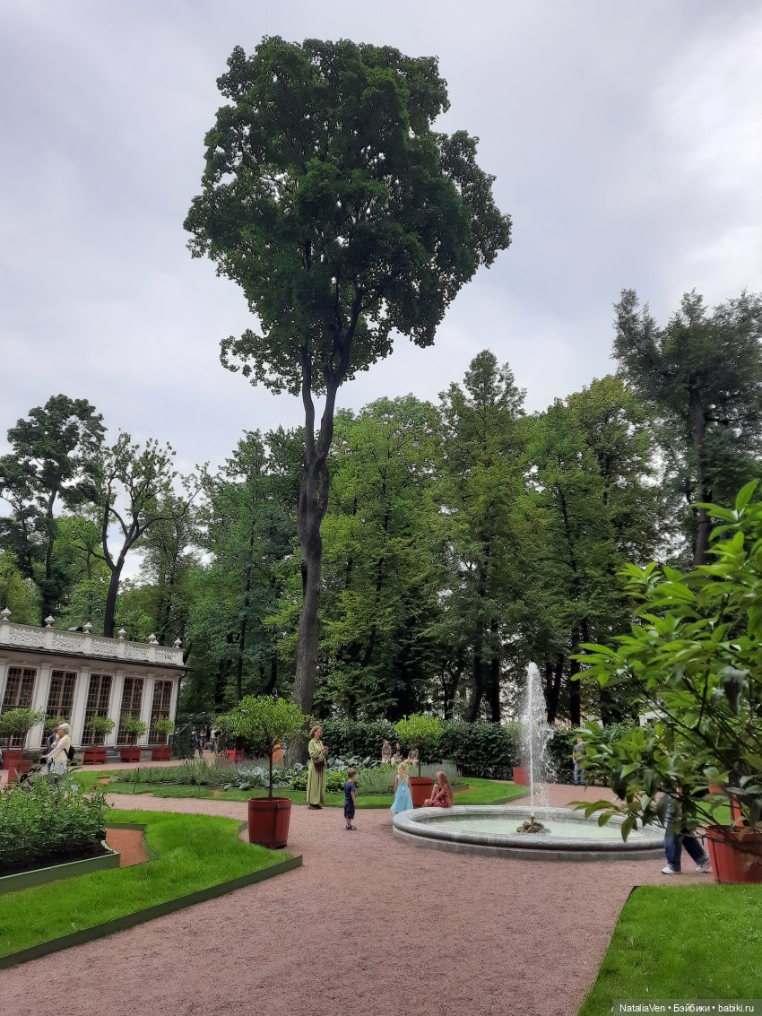 Листая Цверго-календарь: поиск лесных и дворцово-парковых сокровищ во всех временах года