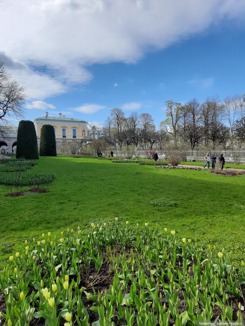 Листая Цверго-календарь: поиск лесных и дворцово-парковых сокровищ во всех временах года