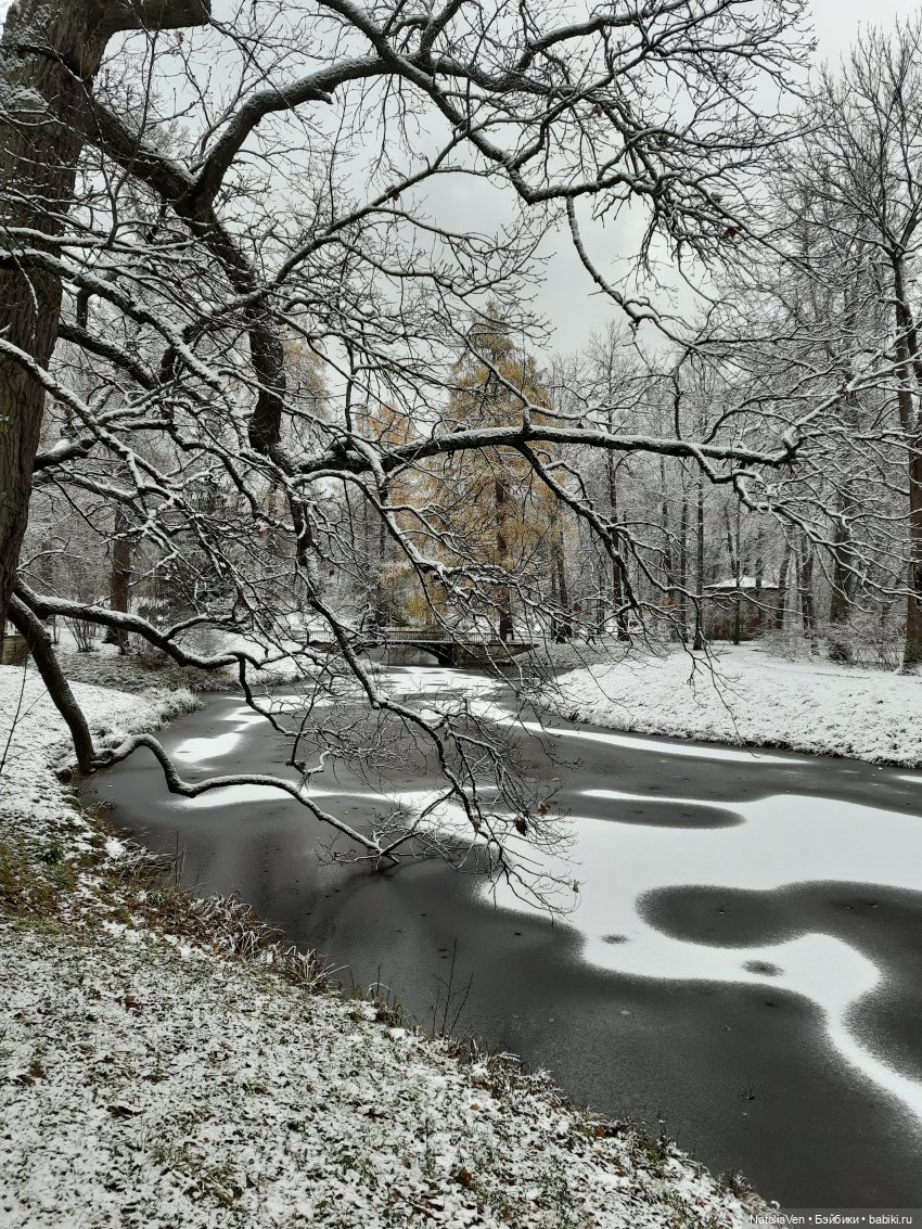 Листая Цверго-календарь: поиск лесных и дворцово-парковых сокровищ во всех временах года