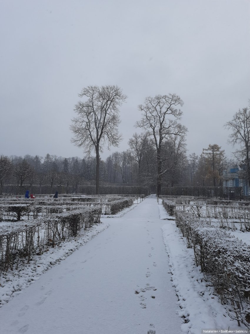Листая Цверго-календарь: поиск лесных и дворцово-парковых сокровищ во всех временах года