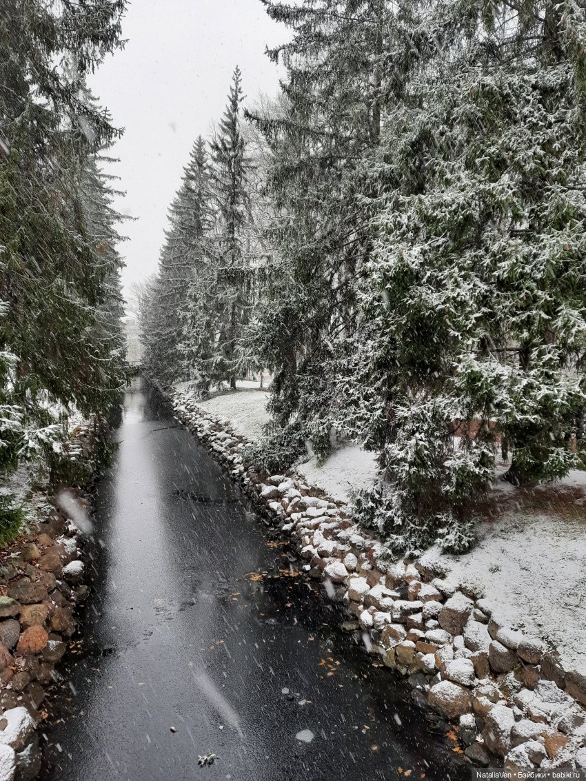 Листая Цверго-календарь: поиск лесных и дворцово-парковых сокровищ во всех временах года