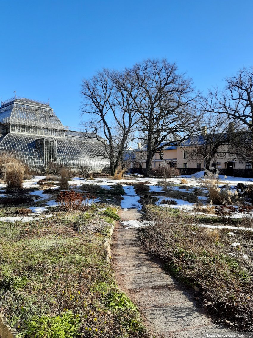 Листая Цверго-календарь: поиск лесных и дворцово-парковых сокровищ во всех временах года (фото 7)