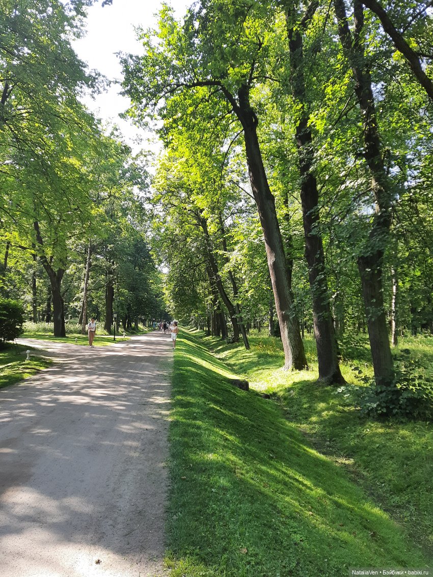 Сокровища Цвергов - Фе и всё золото Петергофа (фото 6)