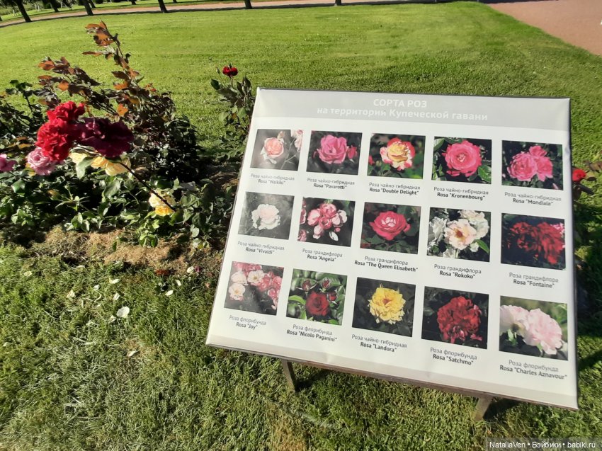 Сокровища Цвергов - Фе и всё золото Петергофа