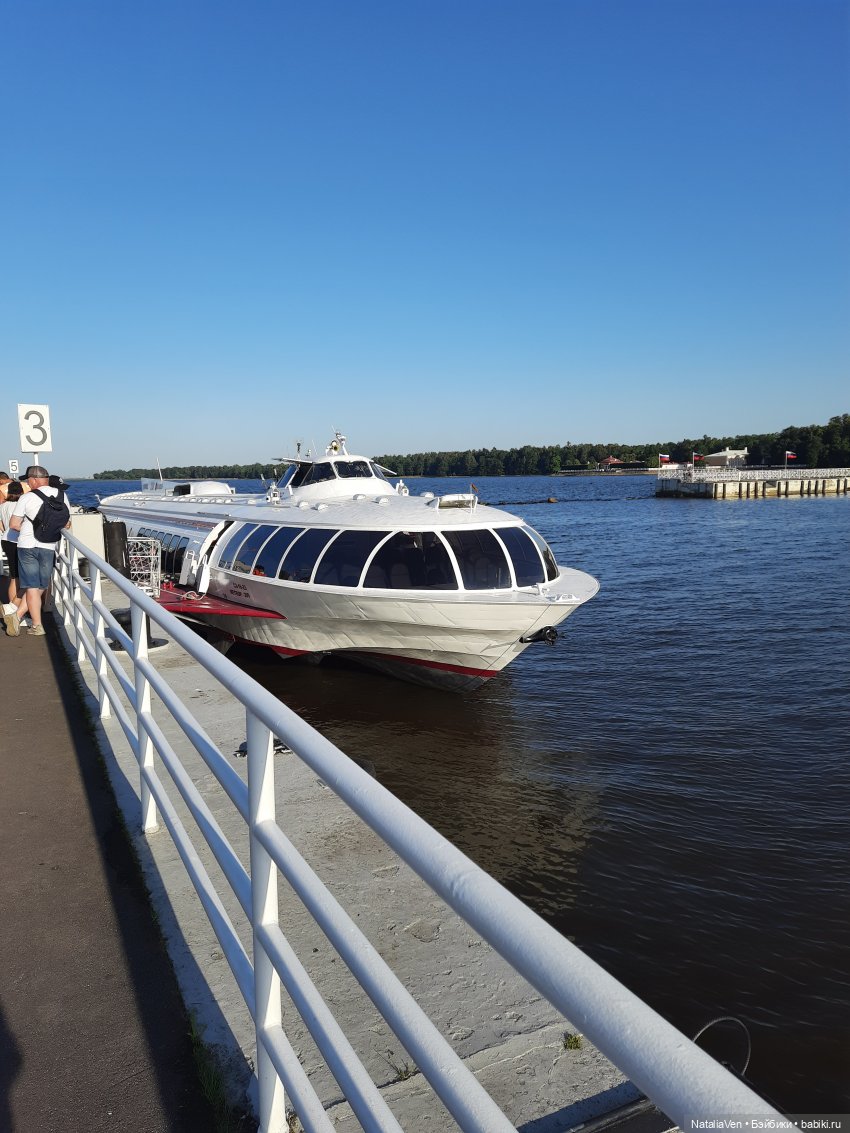 Сокровища Цвергов - Фе и всё золото Петергофа