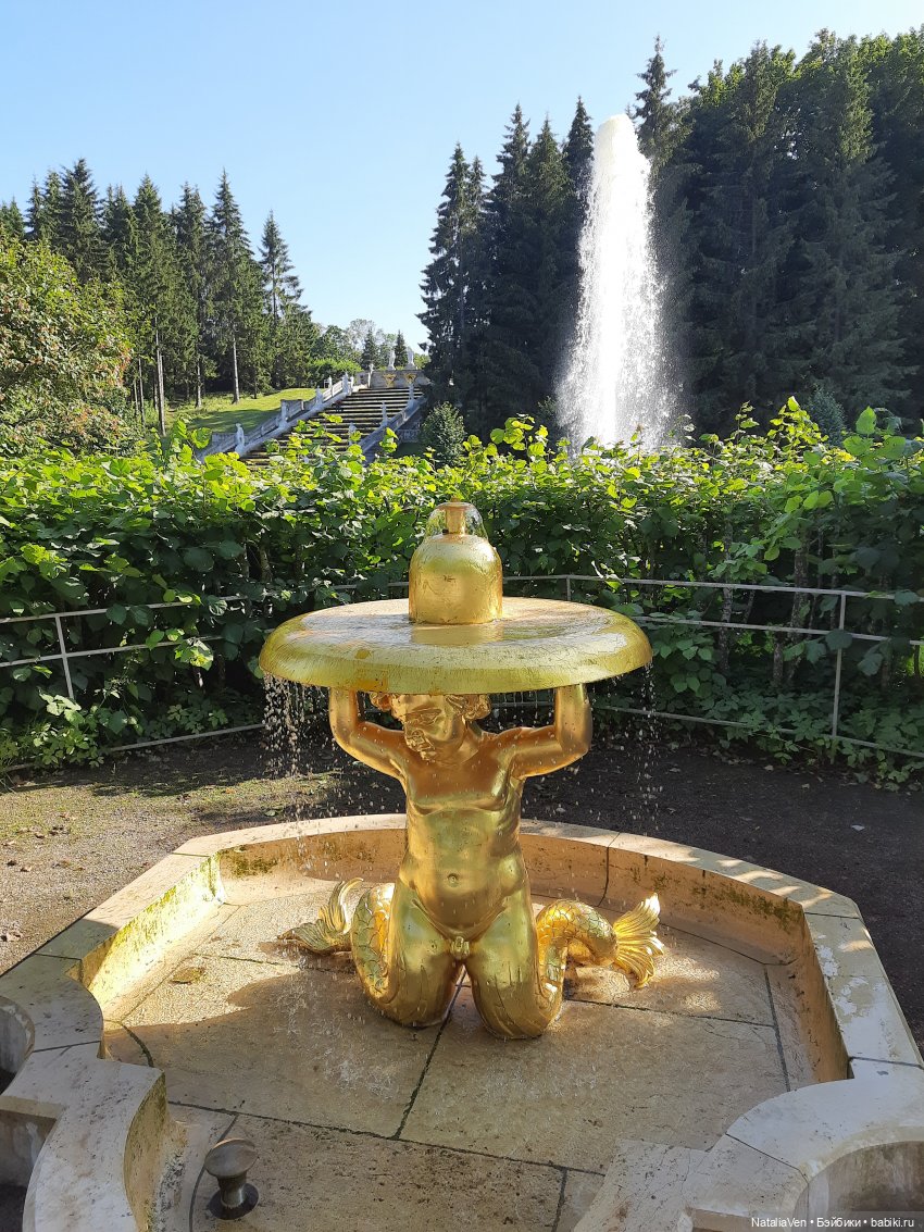 Сокровища Цвергов - Фе и всё золото Петергофа