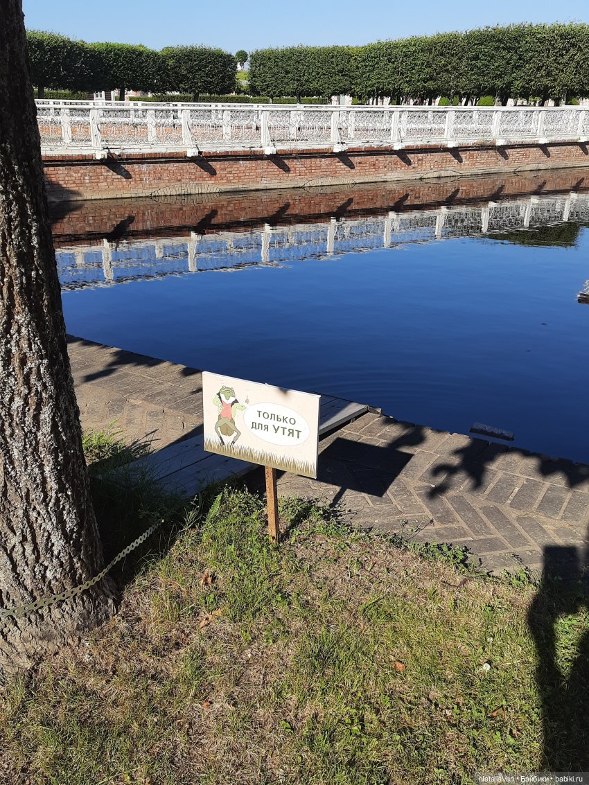 Сокровища Цвергов - Фе и всё золото Петергофа