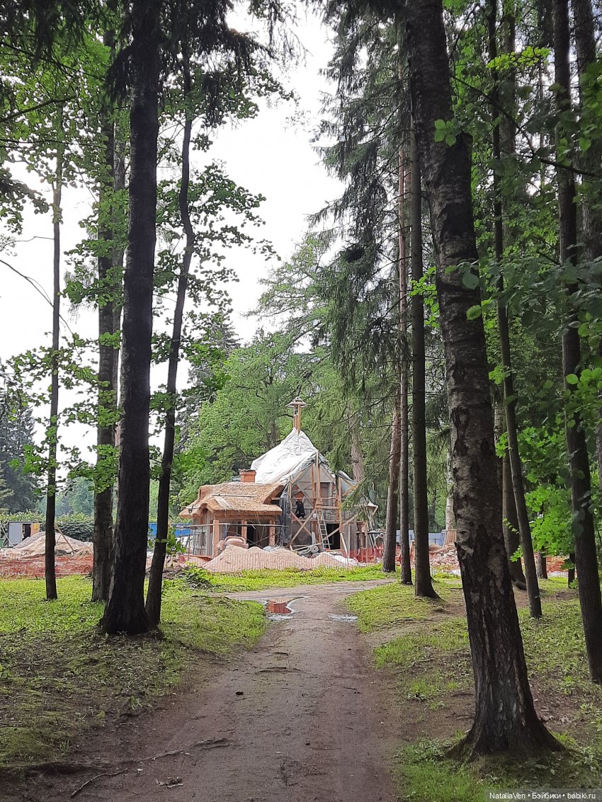 Лето с Минуш - Полин и цветочный фестиваль в Павловске (фото 5)