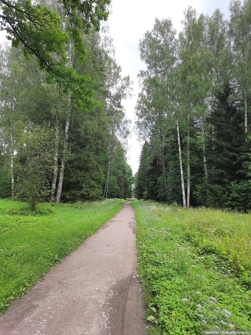 Лето с Минуш - Полин и цветочный фестиваль в Павловске (фото 3)