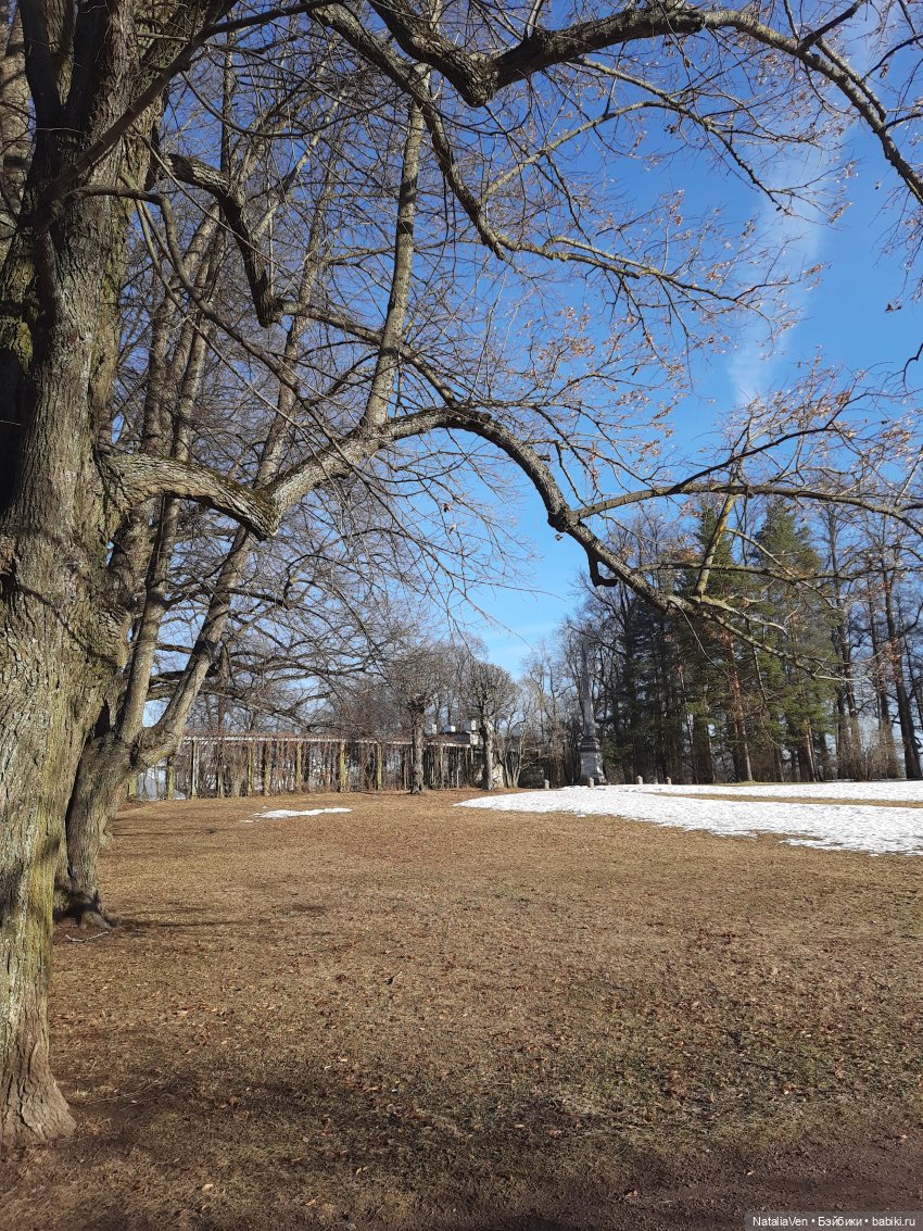 Вихтельная Весна - Марта в мартовском Пушкине