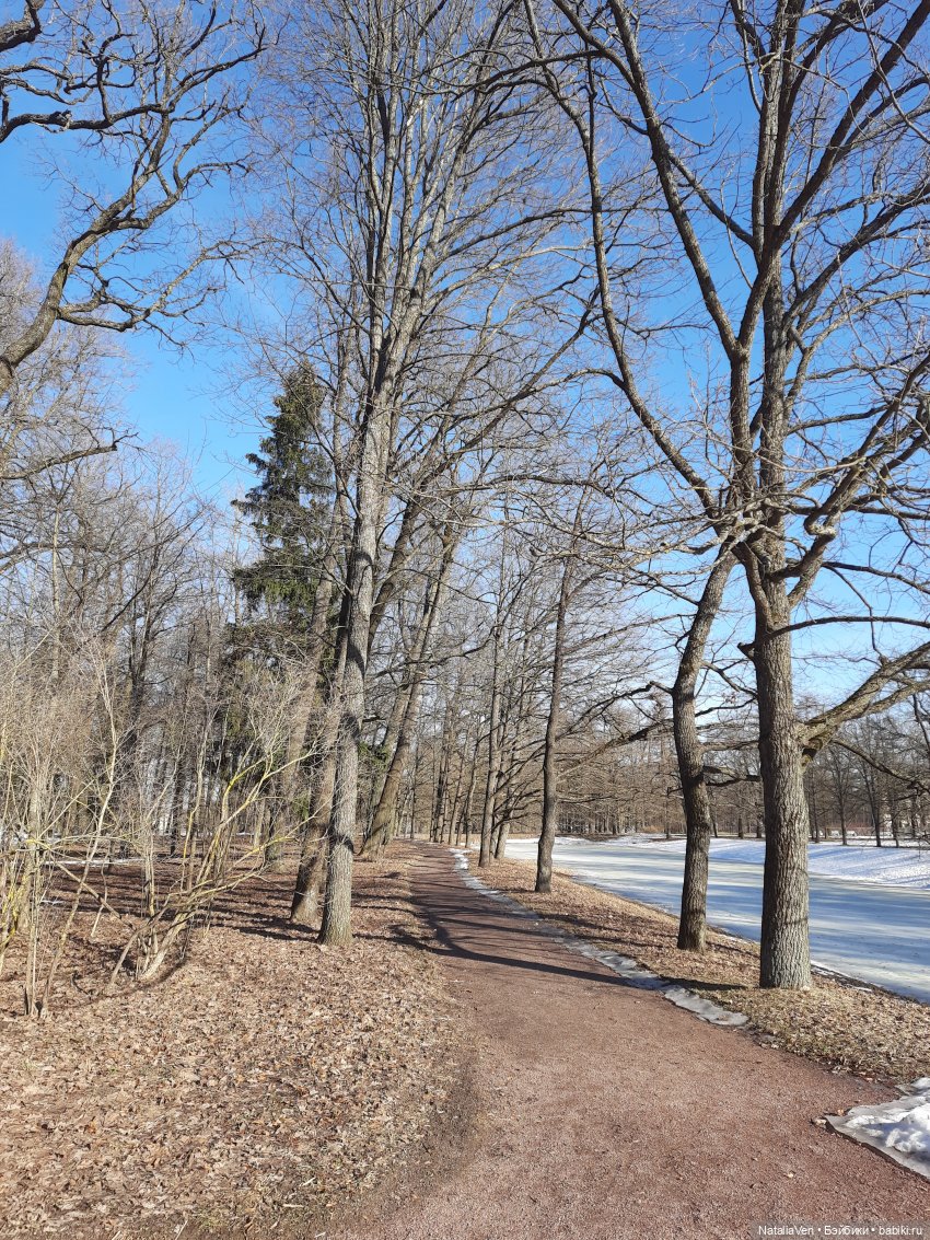 Вихтельная Весна - Марта в мартовском Пушкине (фото 8)