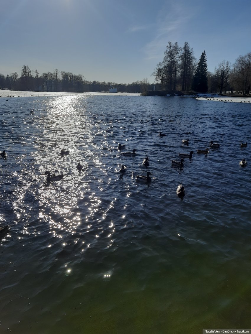 Вихтельная Весна - Марта в мартовском Пушкине
