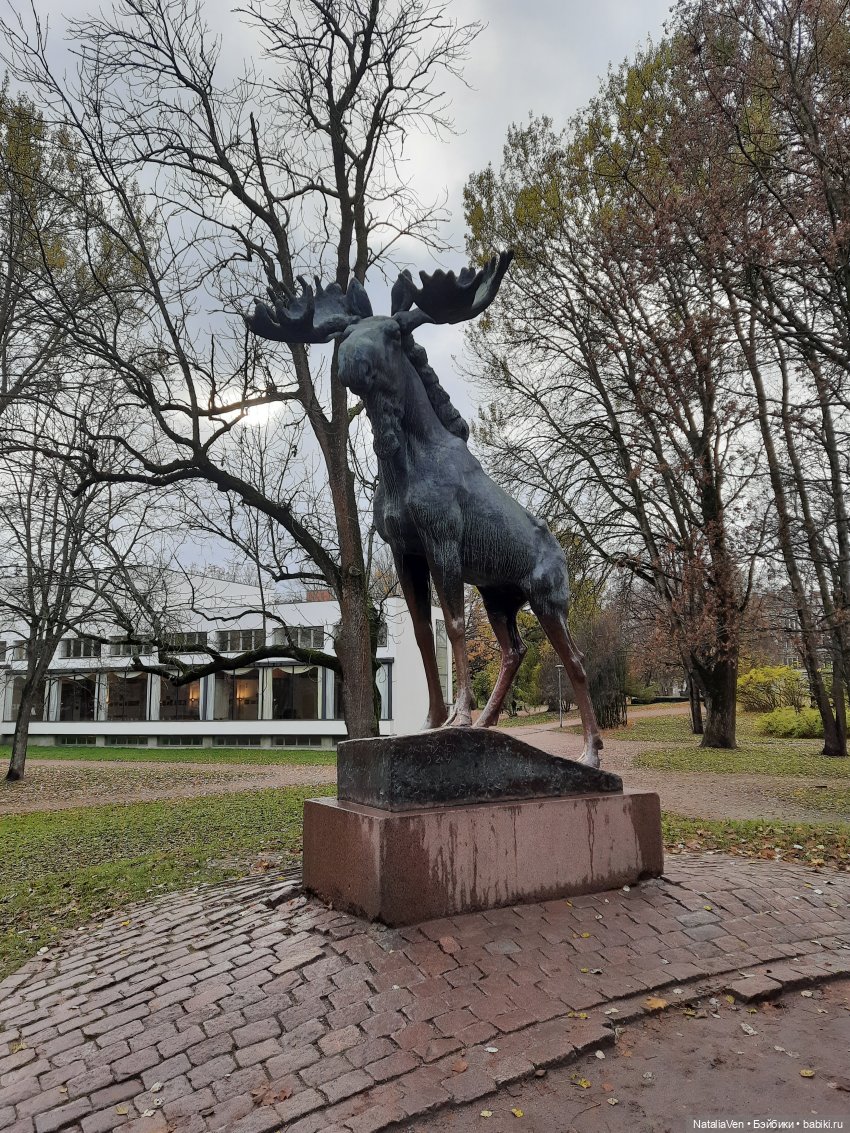 Осеннее-весенние сны Цвергназе - Фе и средневековый Выборг (фото 4)