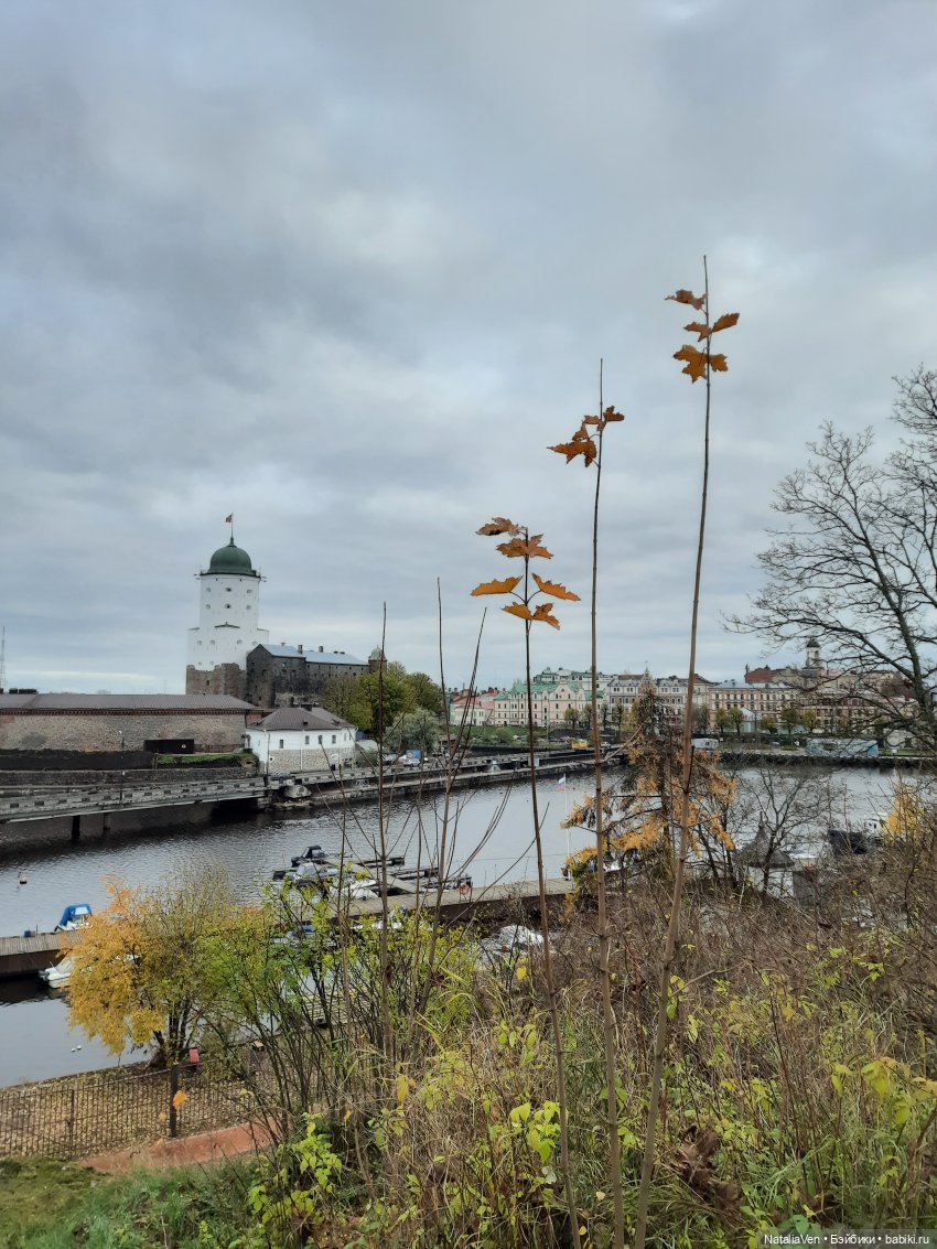 Осеннее-весенние сны Цвергназе - Фе и средневековый Выборг