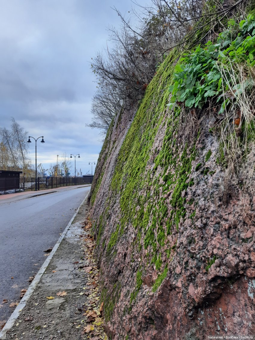 Осеннее-весенние сны Цвергназе - Фе и средневековый Выборг