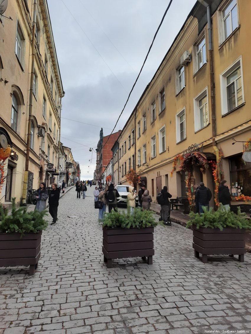 Осеннее-весенние сны Цвергназе - Фе и средневековый Выборг (фото 10)