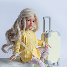 BJD Paola Reina с авторской головой №6