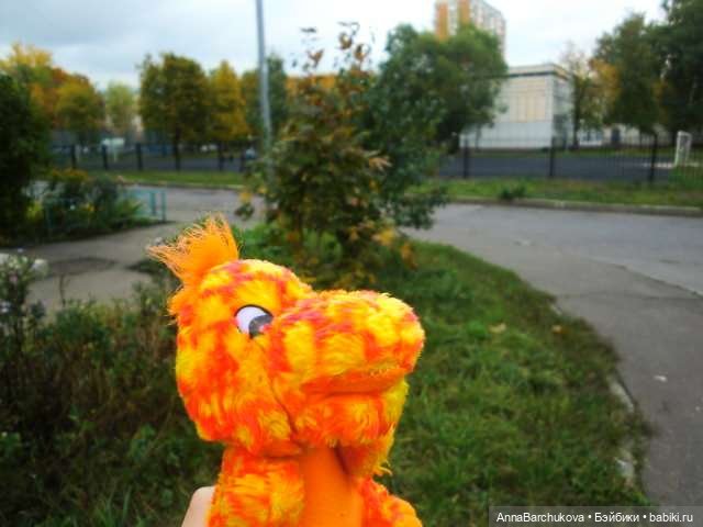 Осенняя фотосессия Миланы и её Дракоши на улице