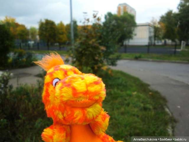 Осенняя фотосессия Миланы и её Дракоши на улице | Бэйбики Осенняя фотосессия Миланы и её Дракоши на улице (фото 8)