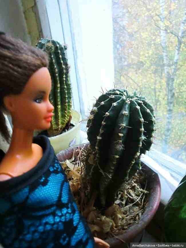 Обновила стёршийся мейк куклы Терезы от Mattel