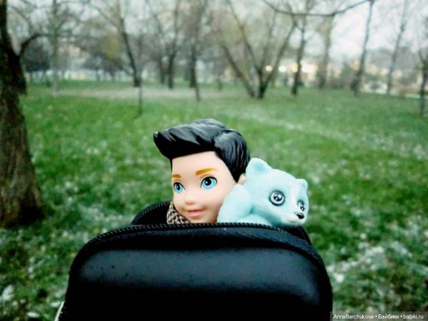 Коля и лисичка Снежинка. Прогулка в Гольяновском парке 15.11.2022 г