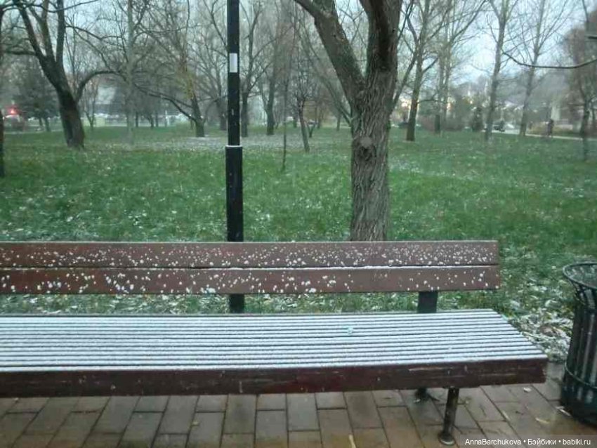 Коля и лисичка Снежинка. Прогулка в Гольяновском парке 15.11.2022 г (фото 6)