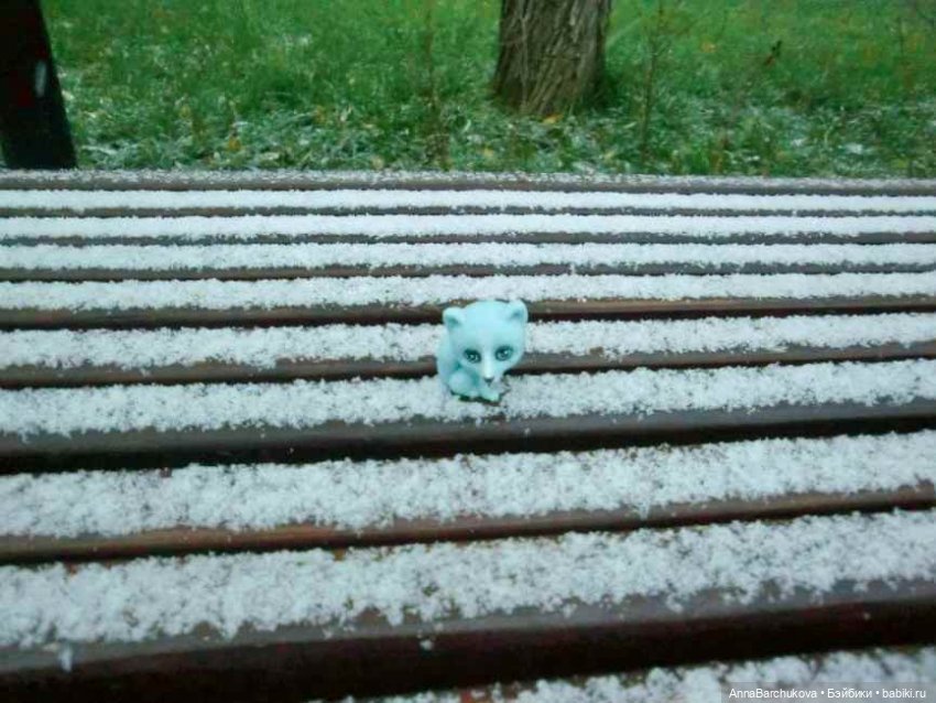 Коля и лисичка Снежинка. Прогулка в Гольяновском парке 15.11.2022 г (фото 2)