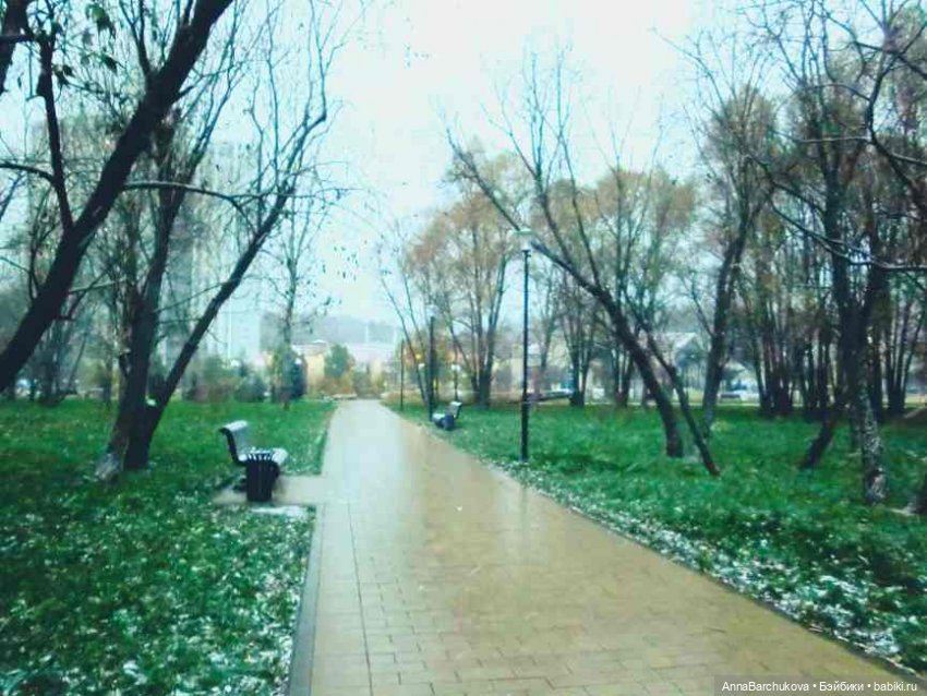 Коля и лисичка Снежинка. Прогулка в Гольяновском парке 15.11.2022 г