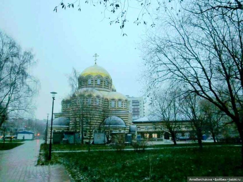 Коля и лисичка Снежинка. Прогулка в Гольяновском парке 15.11.2022 г (фото 5)