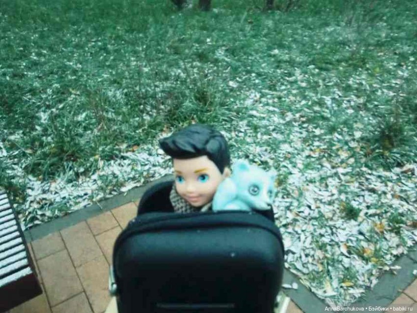 Коля и лисичка Снежинка. Прогулка в Гольяновском парке 15.11.2022 г