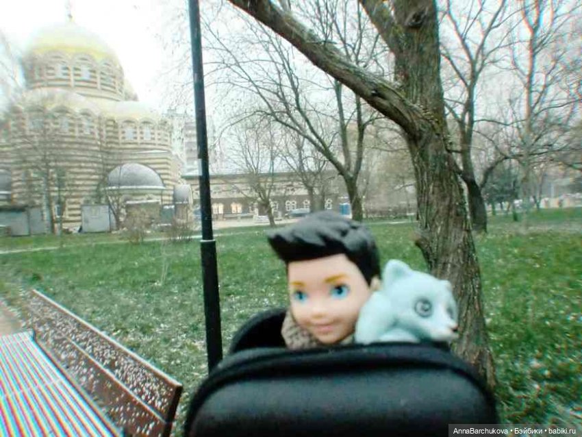 Коля и лисичка Снежинка. Прогулка в Гольяновском парке 15.11.2022 г