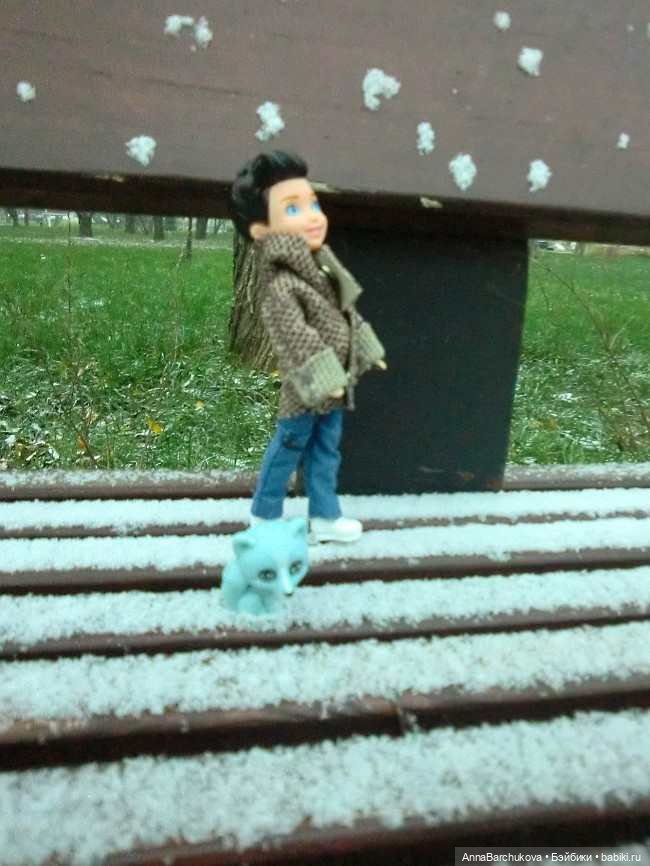 Коля и лисичка Снежинка. Прогулка в Гольяновском парке 15.11.2022 г (фото 7)