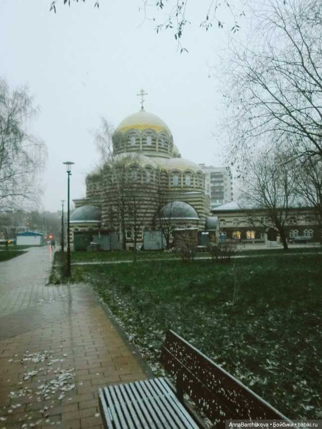 Коля и лисичка Снежинка. Прогулка в Гольяновском парке 15.11.2022 г (фото 4)