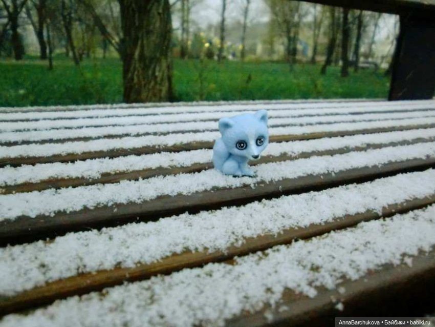 Коля и лисичка Снежинка. Прогулка в Гольяновском парке 15.11.2022 г