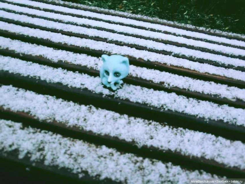 Коля и лисичка Снежинка. Прогулка в Гольяновском парке 15.11.2022 г (фото 3)