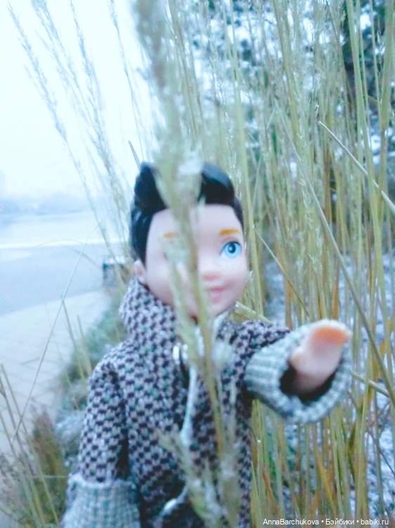 Коля и лисичка Снежинка, гуляющие в парке в момент прихода зимы (фото от 15.11.2022)