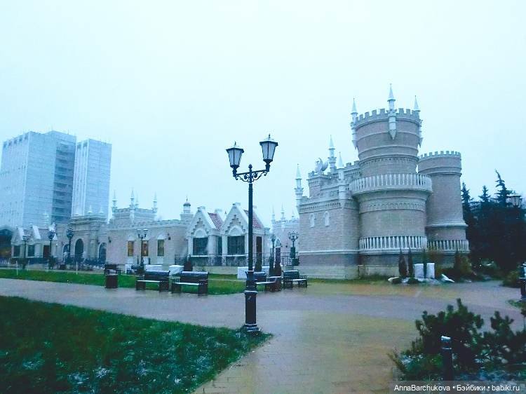 Коля и лисичка Снежинка, гуляющие в парке в момент прихода зимы (фото от 15.11.2022) (фото 9)