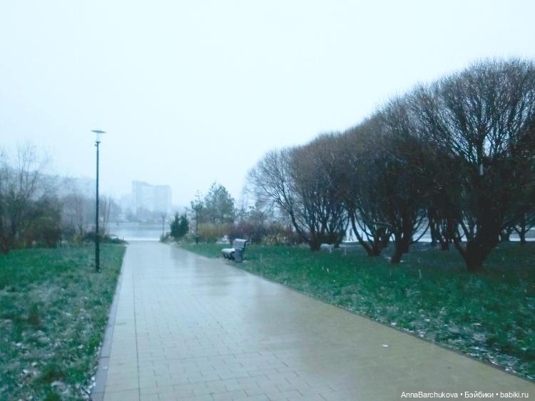 Коля и лисичка Снежинка, гуляющие в парке в момент прихода зимы (фото от 15.11.2022) (фото 3)