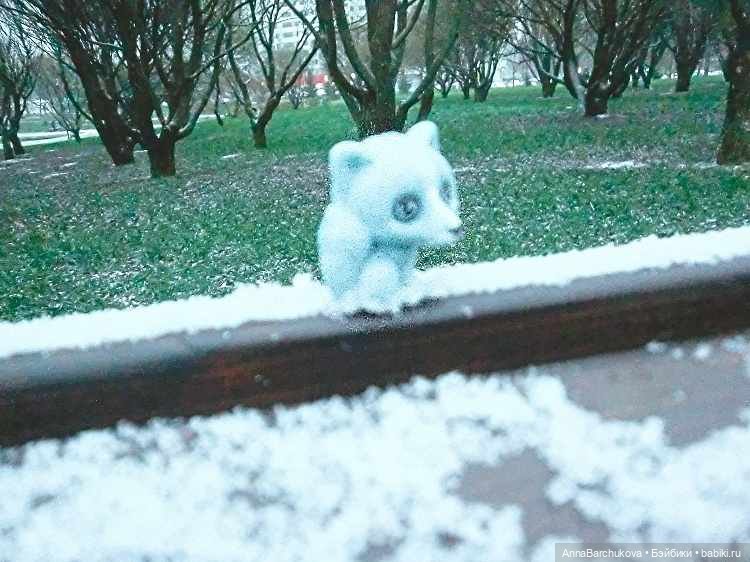 Коля и лисичка Снежинка, гуляющие в парке в момент прихода зимы (фото от 15.11.2022) (фото 6)