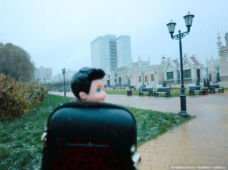 Коля и лисичка Снежинка, гуляющие в парке в момент прихода зимы (фото от 15.11.2022) (фото 10)