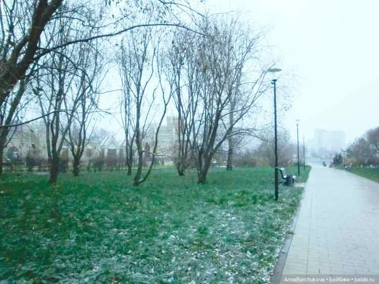 Коля и лисичка Снежинка, гуляющие в парке в момент прихода зимы (фото от 15.11.2022) (фото 2)