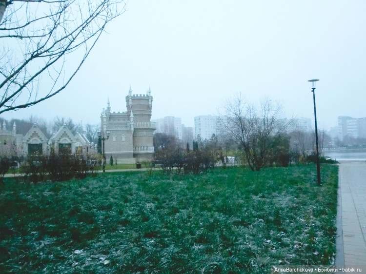 Коля и лисичка Снежинка, гуляющие в парке в момент прихода зимы (фото от 15.11.2022) (фото 4)