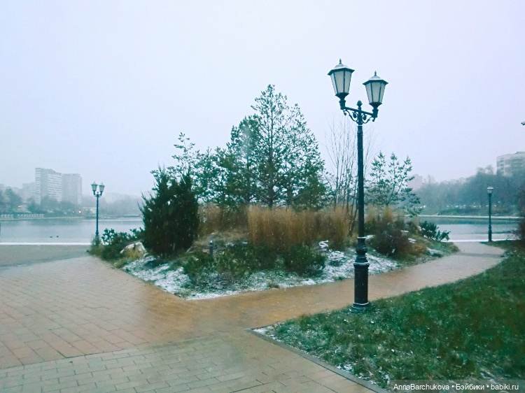 Коля и лисичка Снежинка, гуляющие в парке в момент прихода зимы (фото от 15.11.2022) (фото 8)