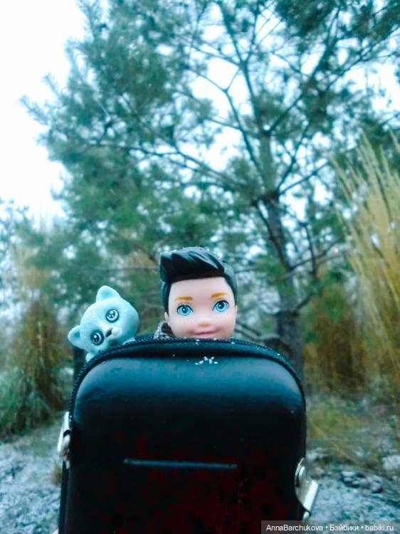 Коля и лисичка Снежинка, гуляющие в парке в момент прихода зимы (фото от 15.11.2022)