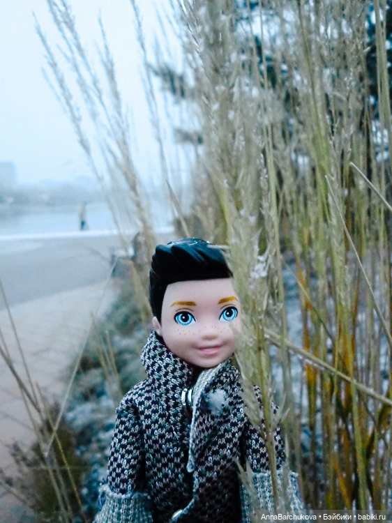 Коля и лисичка Снежинка, гуляющие в парке в момент прихода зимы (фото от 15.11.2022)