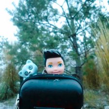 Коля и лисичка Снежинка, гуляющие в парке в момент прихода зимы (фото от 15.11.2022).