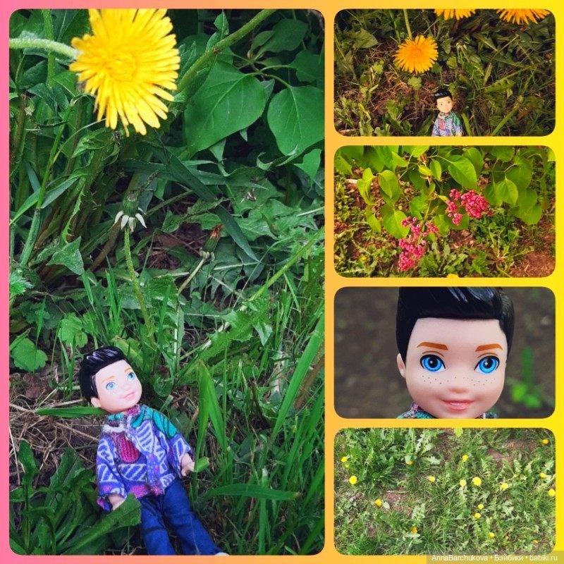 Коля на Сиреневым бульваре: сирень и многое другое (фото 6)